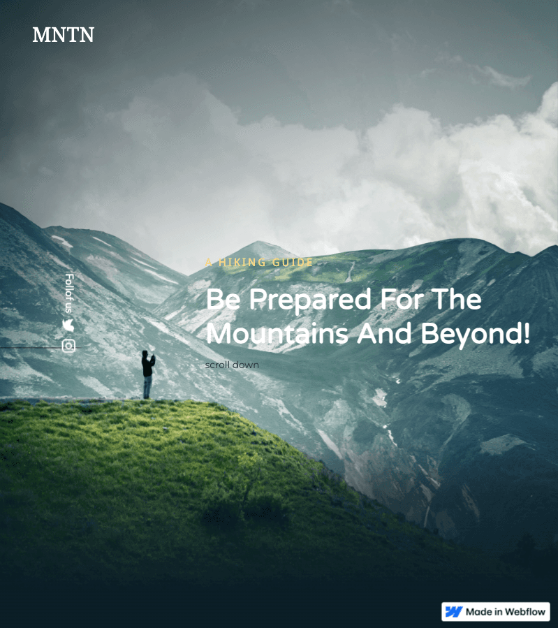 Webflow Website with Scroll Animations & CMS Integration screenshot 5