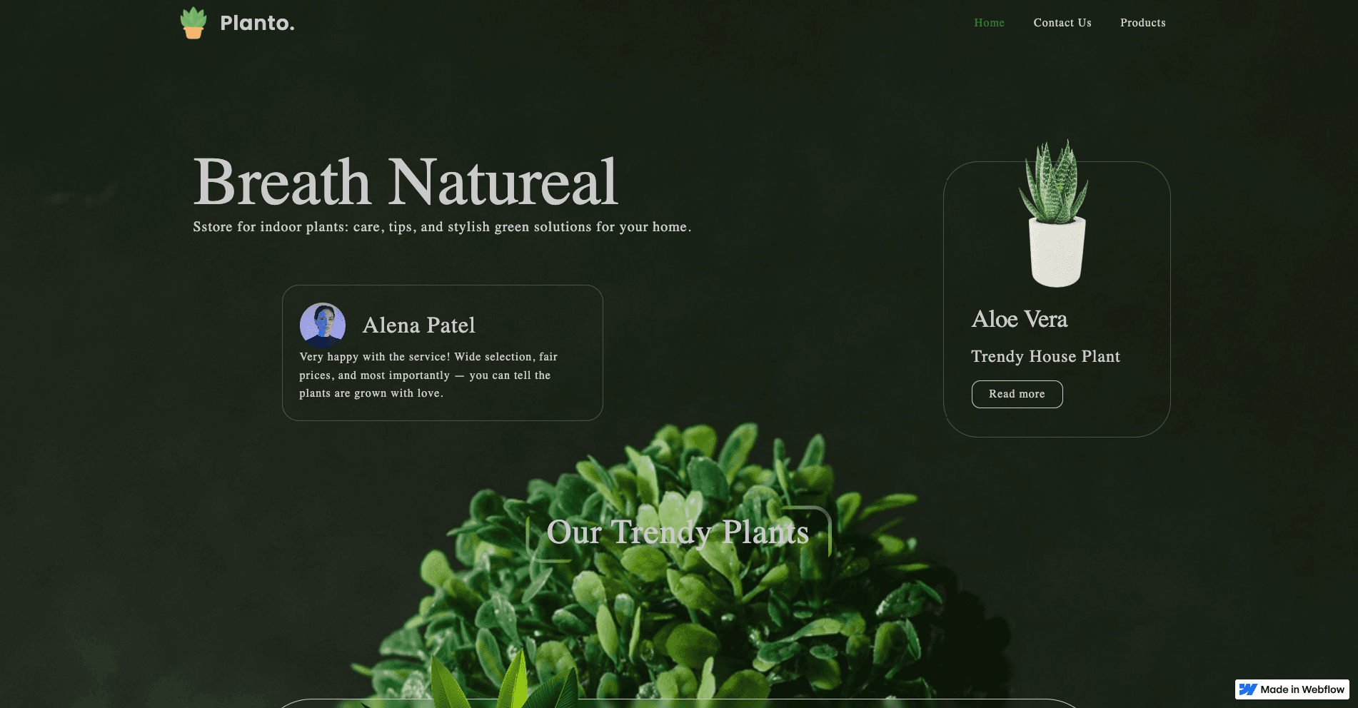Website from Figma to Webflow with CMS, animations, slider
