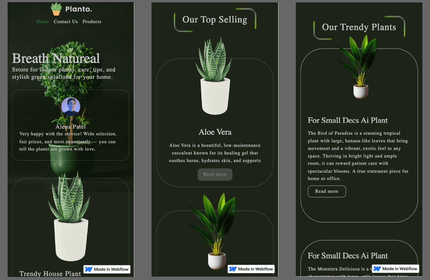 Website from Figma to Webflow with CMS, animations, slider screenshot 7